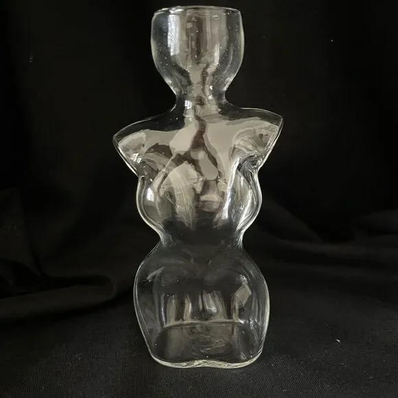 Elegant Glass Vase with Green Plant - Picture 2 of 7